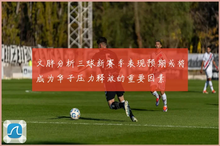 文胖分析三球新赛季表现预期或将成为华子压力释放的重要因素